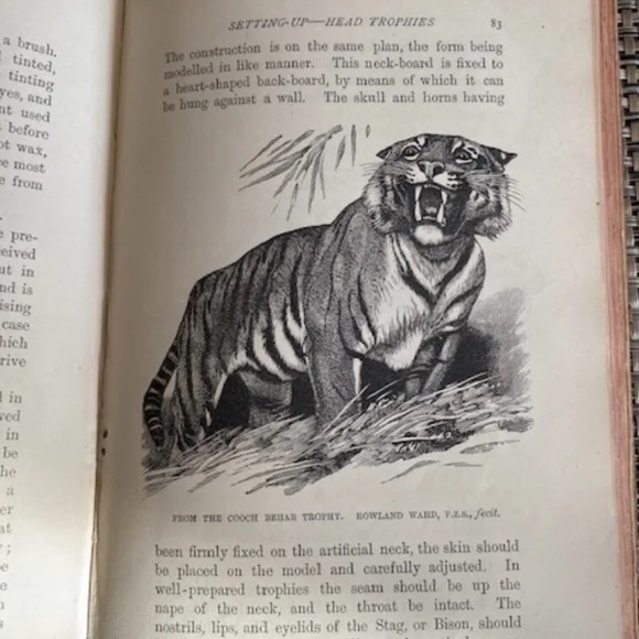 The Sportman’s Handbook By Rowland Ward F.Z.S. 1894 7th Edition (202 Pages) - Picture 8 of 9
